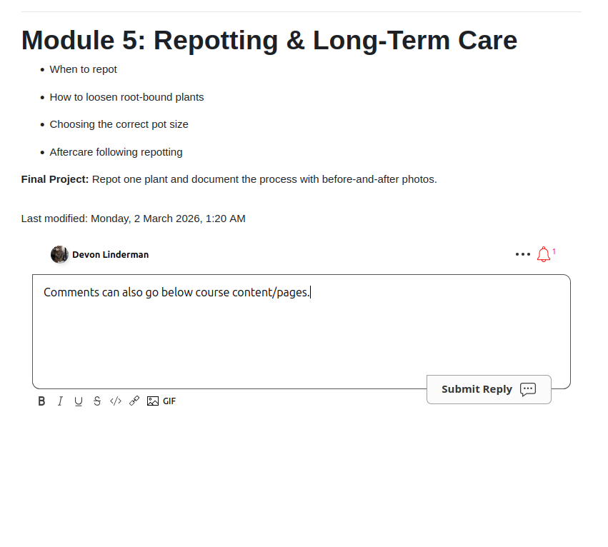 Comments on a Moodle page resource